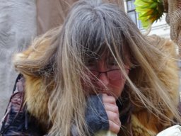 Simmeringer Faschingsumzug 2025